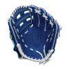 Easton Sports Youth Future Elite Glove Fe1100