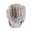 Rawlings Baseball And Softball Gear Sure Catch 10.5`` Basket Web Fastpitch Glove
